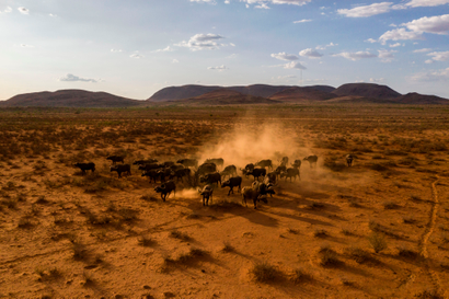 An aerial view of the northern cape province of South Africa, at the gateway to the Kalahari Desert.