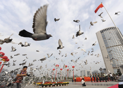 China has no fly-zone for pigeons ahead of 70th birthday parade — Quartz