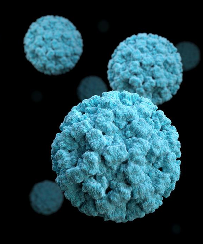 An image of norovirus