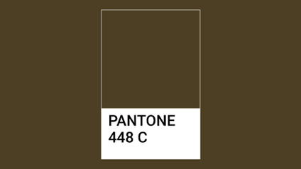 A Pantone swatch of the color drab dark brown