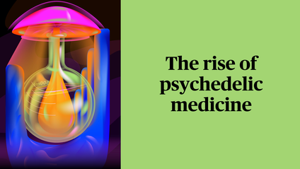 The rise of psychedelic medicine
