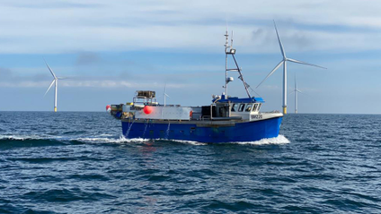 A blue fishing boat is in the Bridlington fishery with an offshore wind farm in the distance.
