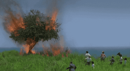 A fire is burning a tree and a group of kids is backing away from it.