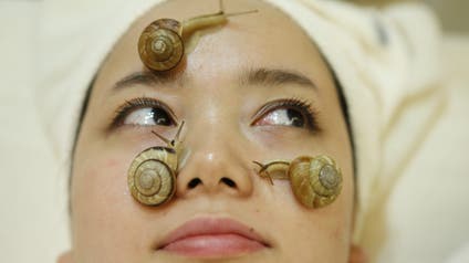 Snails crawl on the face of a woman during a demonstration of a new beauty treatment