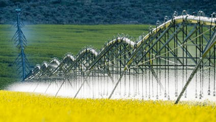 USA, Idaho, Sun Valley, Irrigation equipment in mustard field