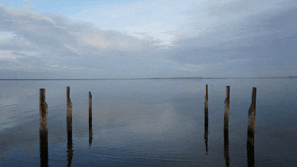 A rock skips out into the ocean toward the horizon.