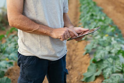 Person on a farm working on a digital tablet