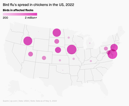A map of the US that shows where bird flue is spreading in chickens in the US.