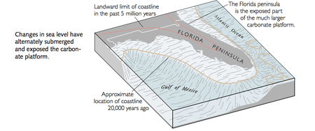 Expect To Hear More About These 80 Foot Deep Sinkholes As Floridas