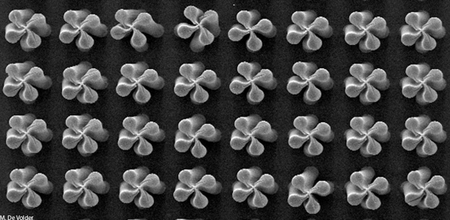 carbon nanotube clover field