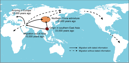 A map of the migration of early dog breeds
