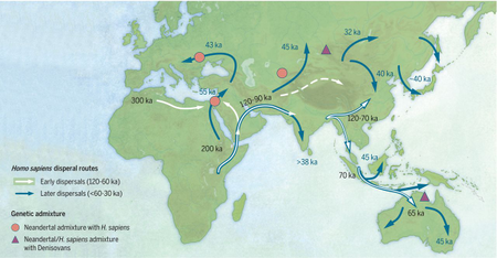 Modern humans dispersed across Asia during the late Pleistocene era.