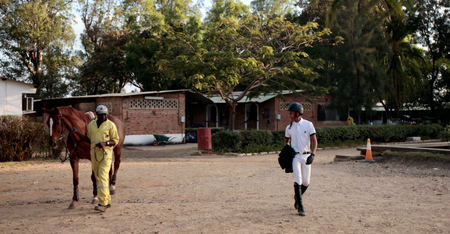 Showjumping in the DR Congo: The sport shows the cities aspirations and inequality