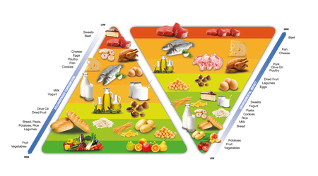 BCFN double food pyramid