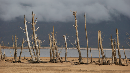 Cape Town has about 100 days of water left due to drought, despite water restrictions