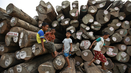 Boys play on teak logs piled at a port in Yangon April 18, 2013. REUTERS/Soe Zeya Tun