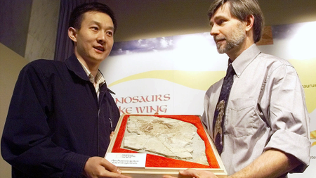 Beijing paleontologist Xu Xing and Steven Czerkas, of the Dinosaur Museum in Blanding, Utah, hold a &quot;Missing Link&quot; fossil Friday, Oct. 15, 1999, at a news conference at the National Geographic Society in Washington. Fossils of the animal, called Archaeoraptor liaoningensis, suggest that it lived 120 million to 140 million years ago when a branch of dinosaurs was evolving into the vast family of birds that now live on every continent. (AP Photo/Dennis Cook