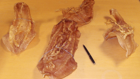 Swim bladders of totoaba macdonaldi fish are pictured in the US Attorney&#039;s office in San Diego, California April 24, 2013.