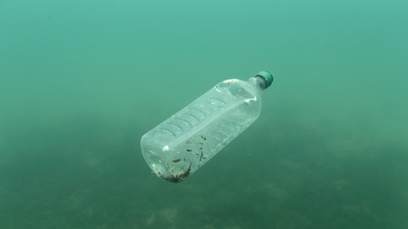 A discarded plastic bottle floating in the Adriatic sea