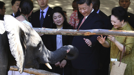 Chinese president Xi Jinping visited Zimbabwe in November and vowed to help protect wildlife.
