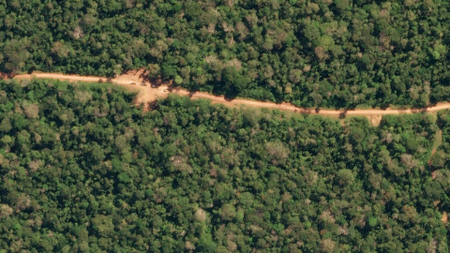 Logging trucks are seen from space in this picture of the Peruvian Amazon rainforest.