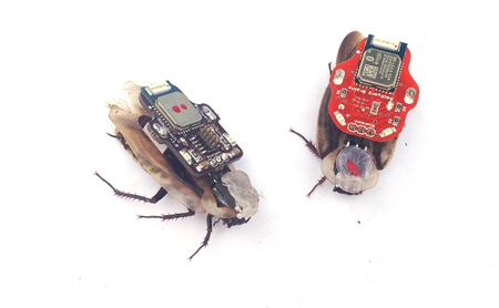 The controller is removable, and roaches go back to normal behavior quickly afterwards