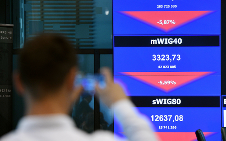 A man watches a board showing the WIG20 index at the Warsaw Stock Exchange in Poland, on June 24. The biggest WSE indices dropped by almost 10 per cent at the start of the session after Great Britain has voted to leave. (EPA/Radek Pietruszka)