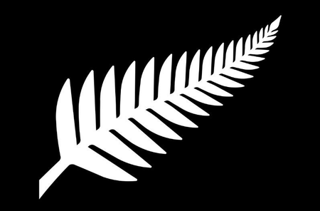 &quot;Silver Fern (Black and White),&quot; by Kyle Lockwood.