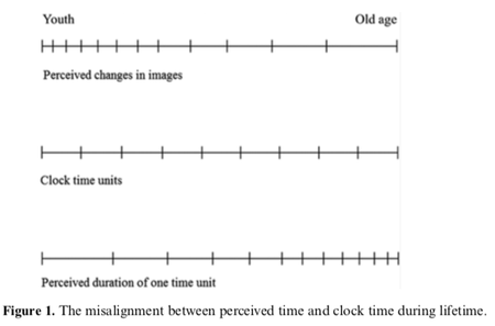 Clock time and mind time perception over a lifetime.
