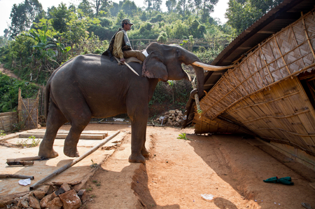 APTOPIX India Elephant Evictors