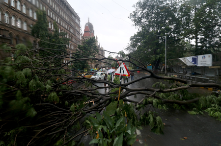 People stand next to a fallen tree after heavy winds caused by Cyclone Tauktae in Mumbai