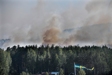 Sweden Wildfires