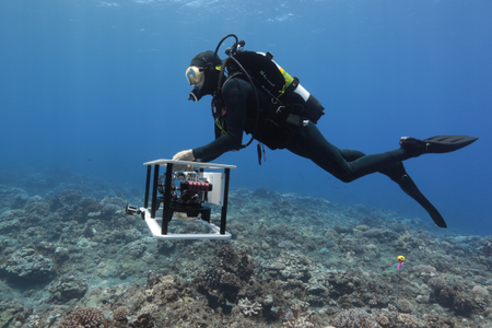 Coral reefs thrive despite global warming say scientists with 3D images ...