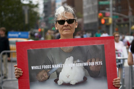 Rabbit meat protestor