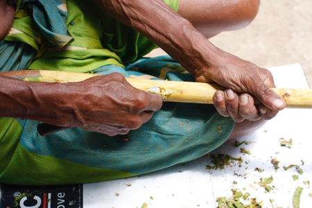 Waddugea Nirmal shaves off quills from the cinnamon plant at the Nirmal Cinnamon Farm in Galle, Sri Lanka.