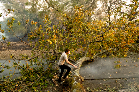 Brennan Fleming jumps a fallen tree while helping his girlfriend evacuate horses stranded by a wildfire called the Kincade Fire in Healdsburg on Oct. 27.