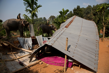 India Elephant Evictors