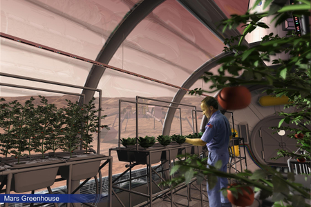 a greenhouse on mars