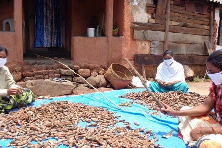 Tribal people are finding it hard to get the fair price of their products like tamarind as there are no buyers in villages due to lockdown.