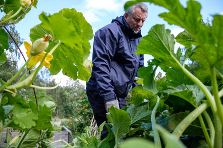 A gardener and local activist tending allotment
