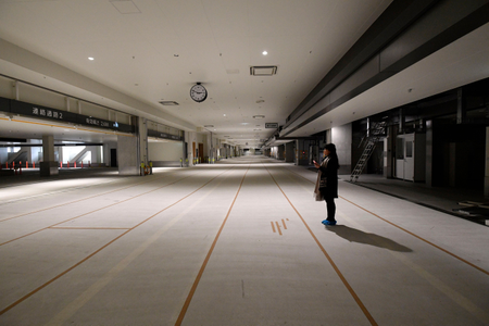 Mandatory Credit: Photo by FRANCK ROBICHON/EPA-EFE/REX/Shutterstock (9375250o) A woman stands at the middle trader area during a media tour at the new Toyosu Wholesale Market in Tokyo, Japan, 13 February 2018. After being postponed due to groundwater pollution affecting the relocation of the famous Tsukiji fish market to the Toyosu waterfront area, the Toyosu Wholesale Market is planned to be opened on 11 October 2018. Media tour at Toyosu wholesale food market, Tokyo, Japan - 13 Feb 2018