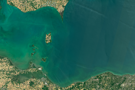 Lake Erie algae bloom 2016 June