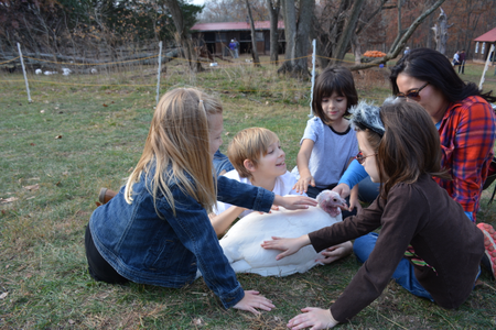 children pet a turkey at the Thanksgiving for the Turkeys event at Poplat Springs Animal Sanctuary