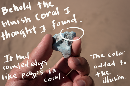 This is the third photo of a hand holding a plastic rock. It&#039;s bluish in color. There&#039;s handwriting over the photo that reads: &quot;Behold the bluish coral I thought I found. It had rounded edges like polyps in coral. The color added to the illusion.&quot;