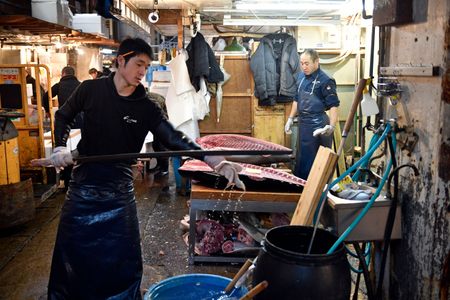ATTENTION: This Image is part of a PHOTO SET Mandatory Credit: Photo by FRANCK ROBICHON/EPA-EFE/REX/Shutterstock (9899123b) A man prepares to cut fresh tuna with a long sword at the Tsukiji fish market in Tokyo, Japan, 02 March 2018 (issued 28 September 2018). The inner market of Tsukiji, considerate to be the biggest fish market of the world, will close to the public on 29 September before closing permanently on 06 October after 83 years of operation at its actual location to move to new facilities in Toyosu. Tsukiji fish market in Tokyo, Japan - 02 Mar 2018