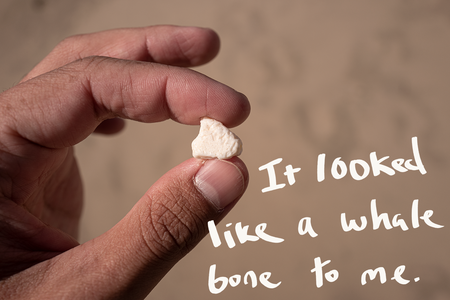 It&#039;s a photo of a white and pot-marked piece of plastic that looks like a bone. There&#039;s handwriting over the photo that reads: &quot;It looked like a whale bone to me.&quot;