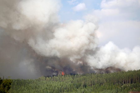 Sweden Wildfires