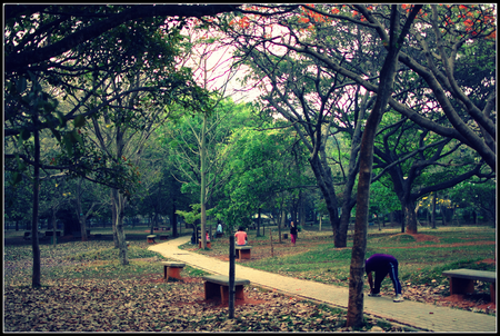 India-Bengaluru-Cubbon-park