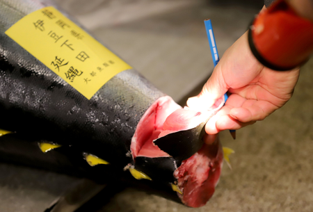 Mandatory Credit: Photo by Aflo/REX/Shutterstock (9307723b) A fishmonger checks a fresh bluefin tuna before the first auction of the new year at Tokyo&#039;s Tsukiji fish market Tuna Auction at Tsukiji fish market, Tokyo, Japan - 04 Jan 2018 The world&#039;s largest fish market is scheduled to transfer to Toyosu waterfront on October 11 this year.