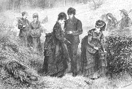 &quot;Gathering Ferns,&quot; from The Illustrated London News, July 1, 1871, by Helen Paterson Allingham.